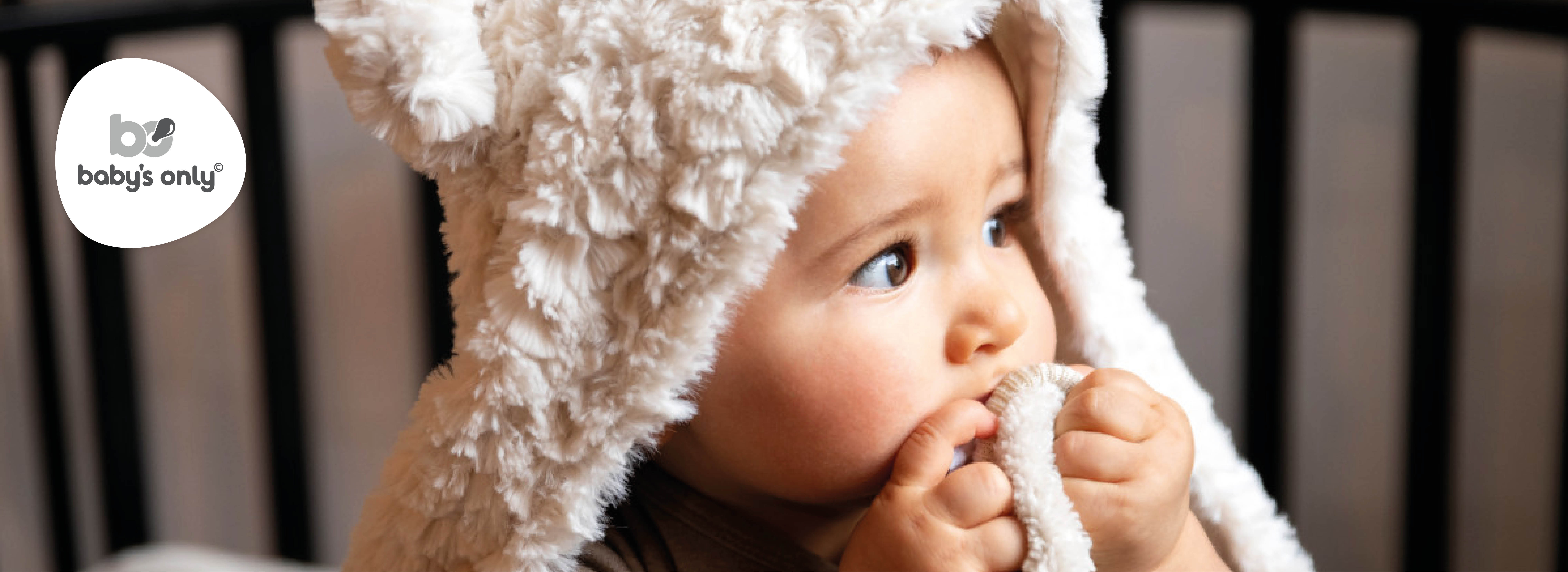 babysonly_banner.jpg