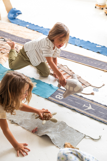 SCT-PLANE-3530_4b.jpg