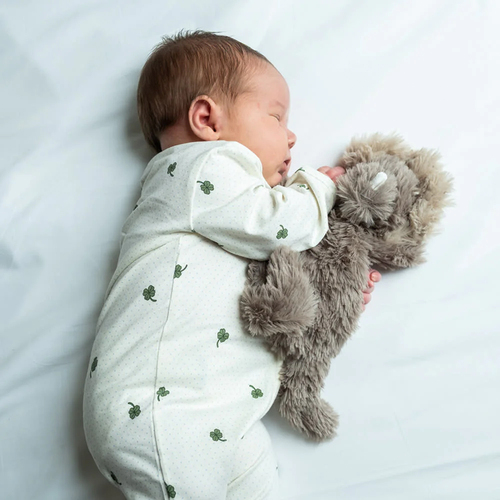 That's Mine Houston Gewichts-Stofftier Dinosaurier 0,13 kg