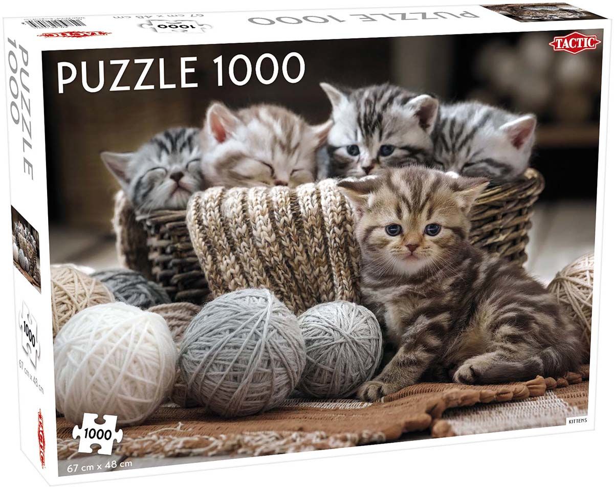 Kaufen Tactic Puzzle Cute Kittens 1000 Teile  Jollyroom