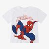 2900003337-SPIDERMAN-4656_1.jpg