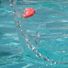 970297-4796_4a.jpg