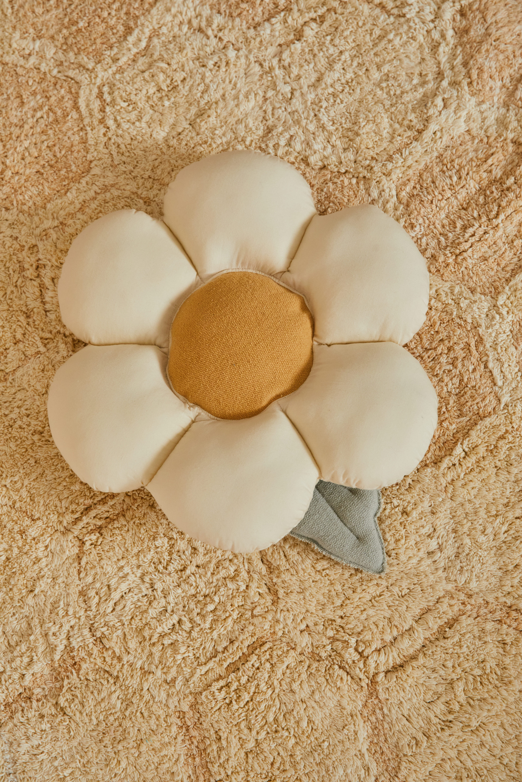 SC-DAISY-3530_4a.jpg