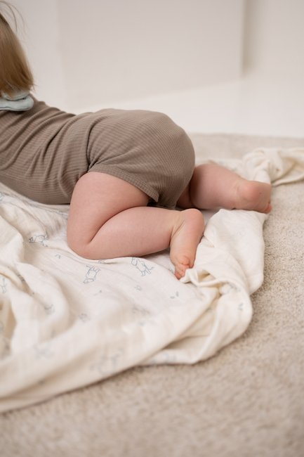 Mumin Musselintücher 2er-Pack, Blue