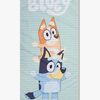 2024SE1705-Bluey-4663_d.jpg