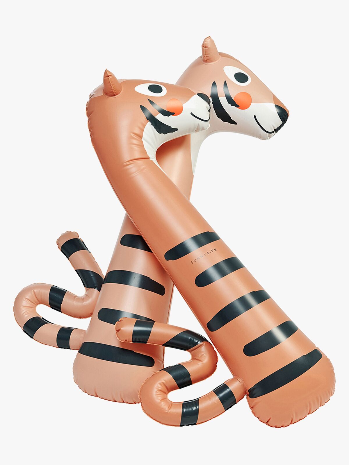 S61KINTC-TinotheTiger-4623_4a.jpg