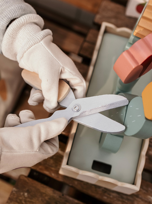 Jabadabado  Cut & Grow Blumen