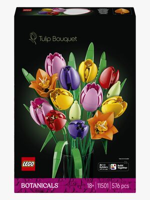 LEGO Botanicals 11501 Tulpenstrauß