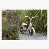 1893212_B-700-Beige-1895_4b.jpg