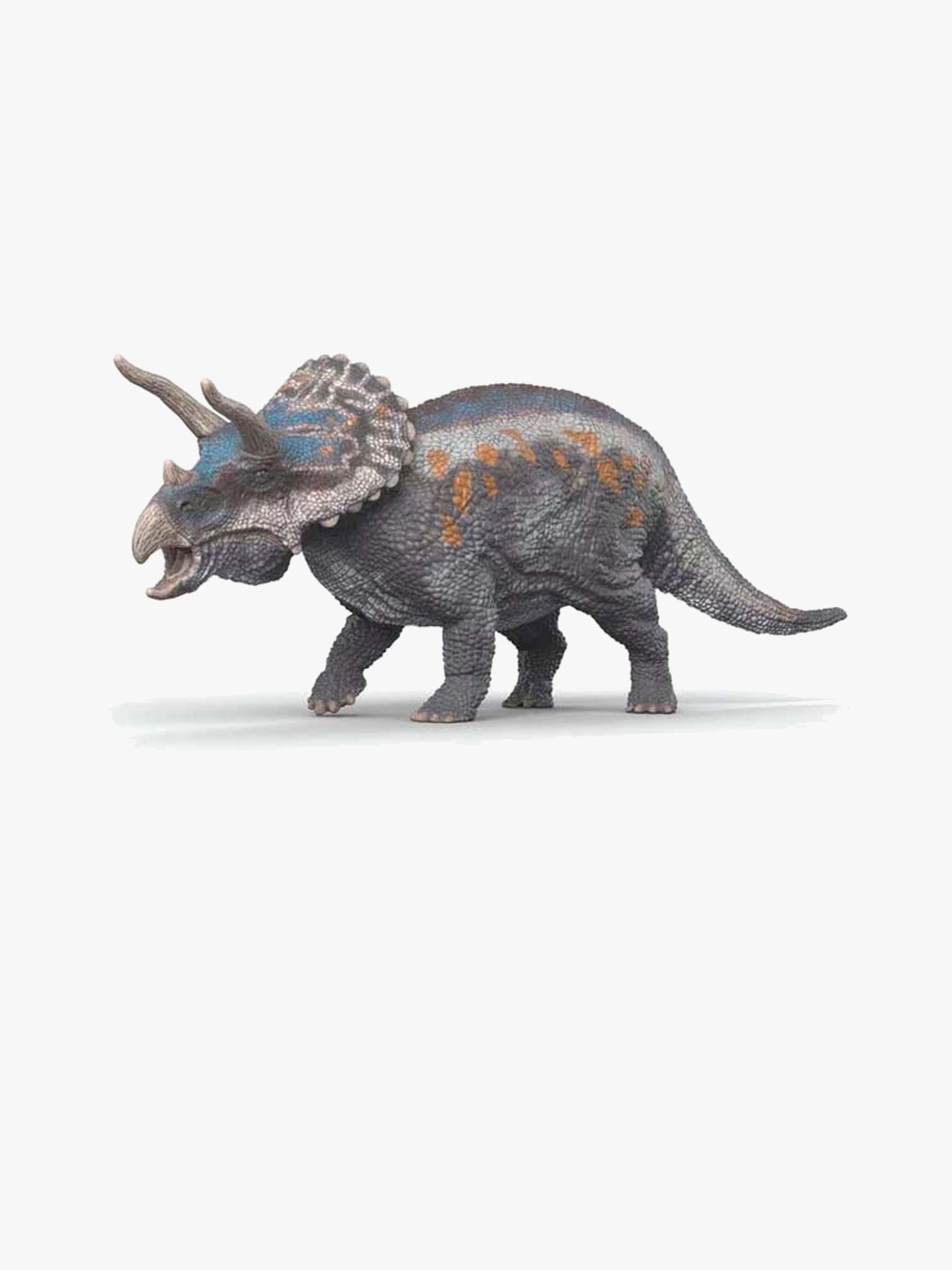 Triceratops