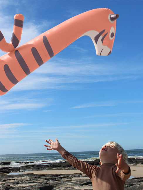 S61KINTC-TinotheTiger-4623_3d.jpg