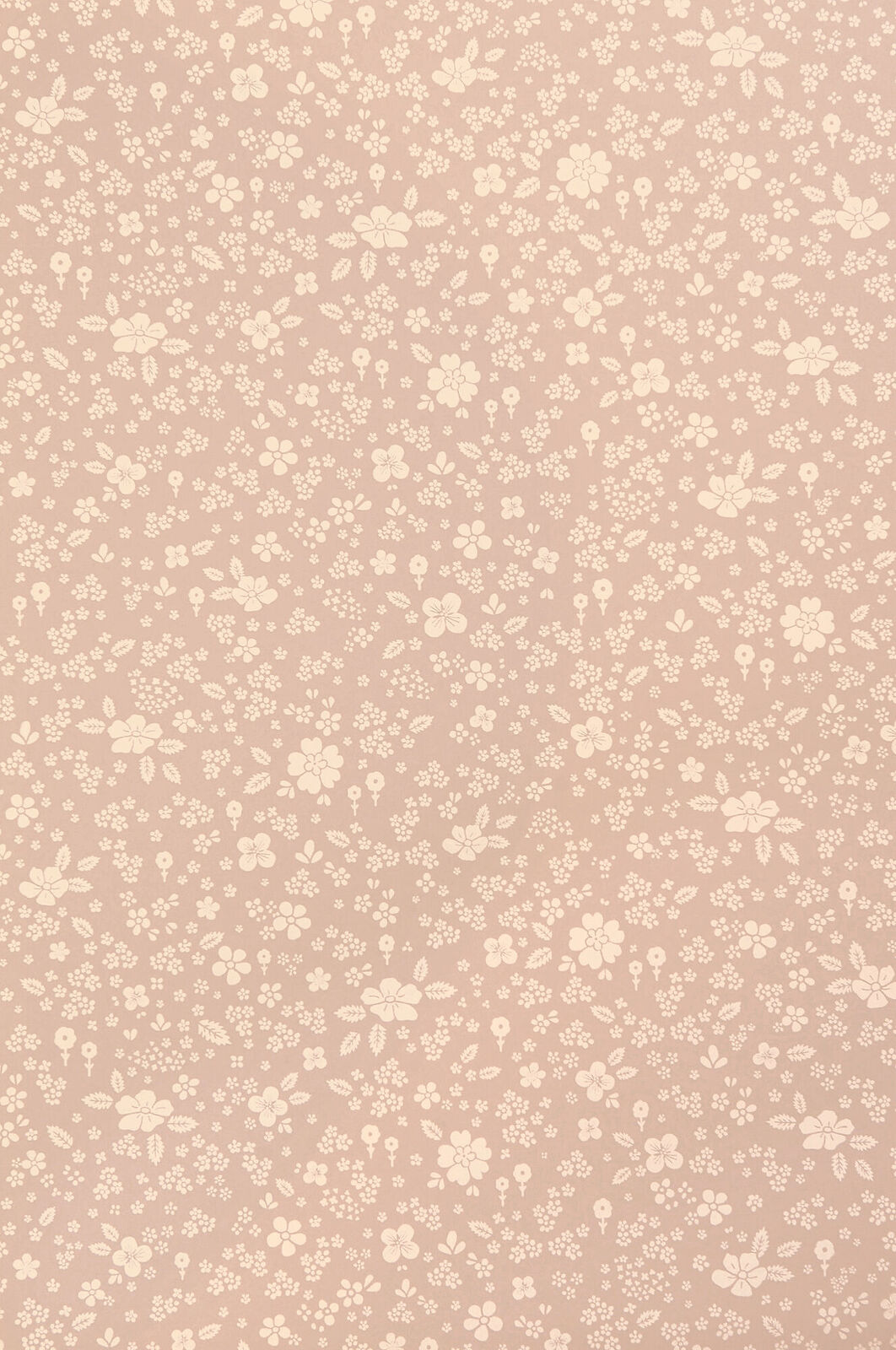 151-02-1713_1.jpg