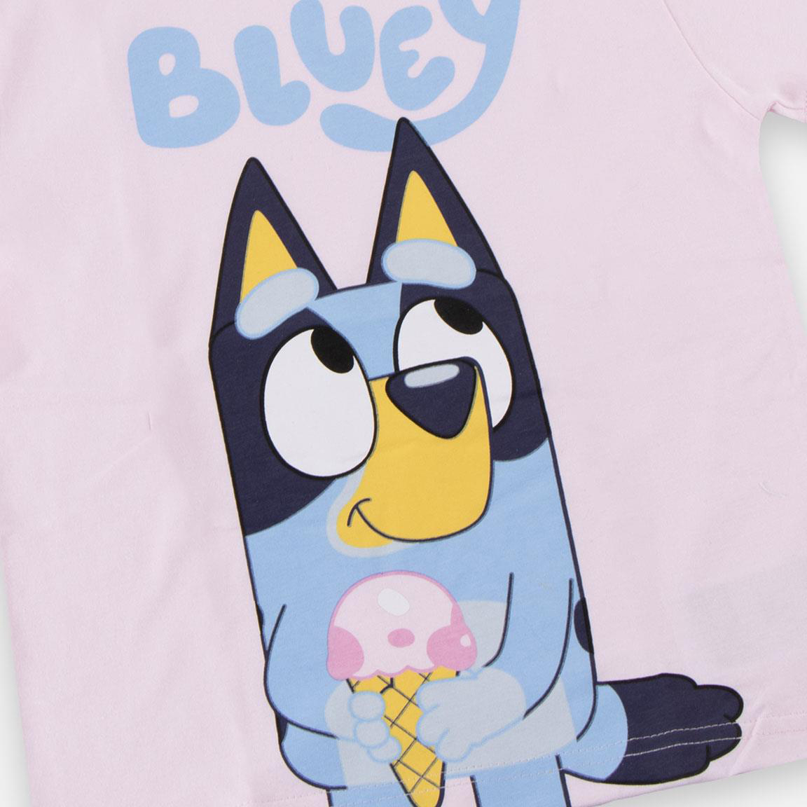 2900003117-BLUEY-4656_4b.jpg
