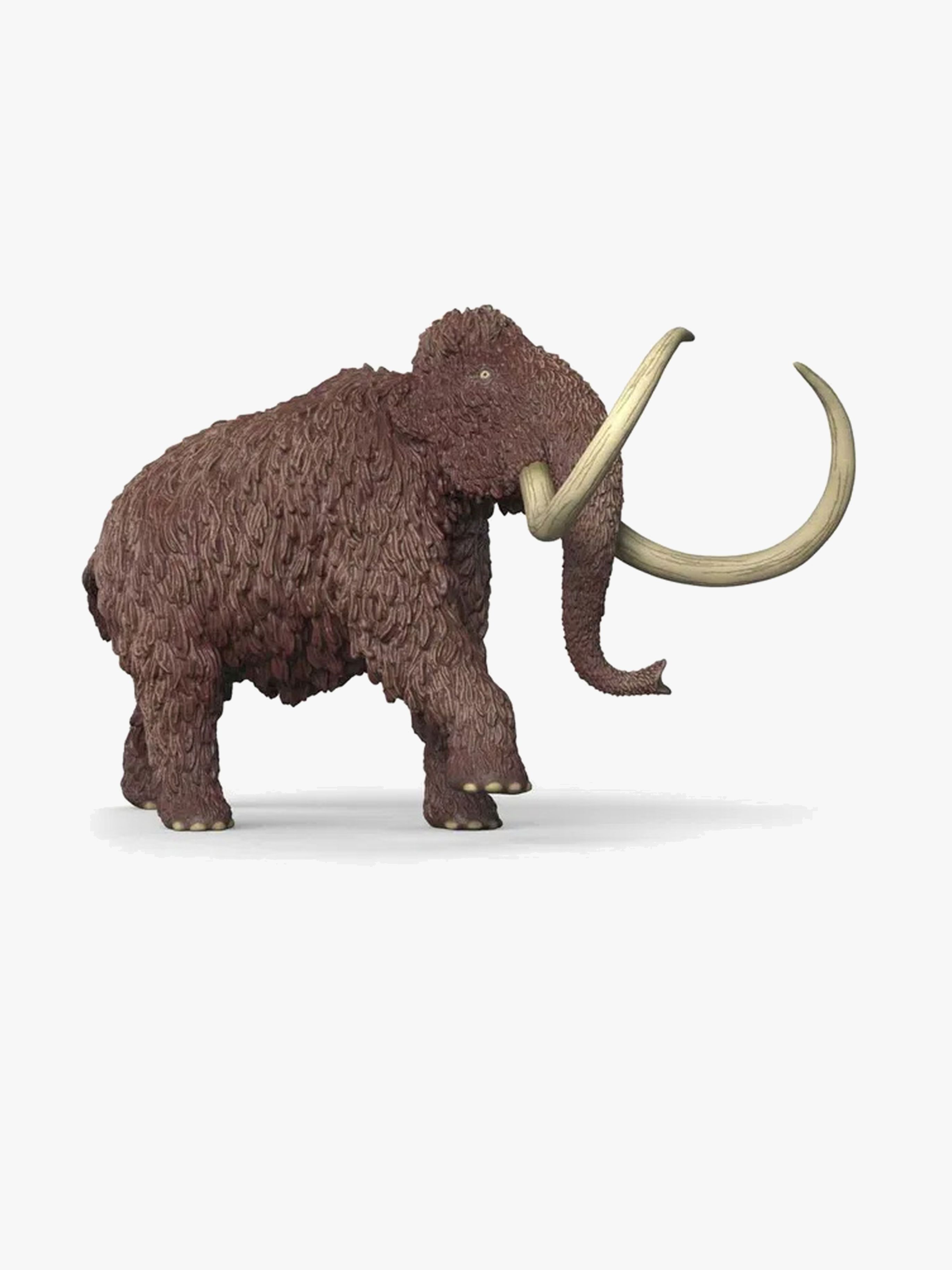 Mammut
