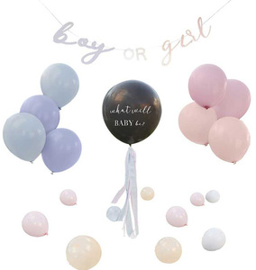 Ginger Ray Gender Reveal Luftballons, Rosa/Blau