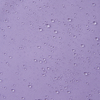 5100416A-545A-1557_3e.jpg