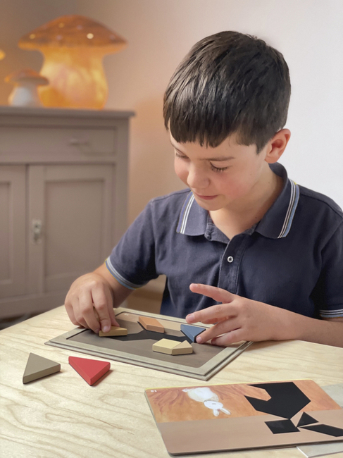 Egmont Toys Magnetisches Tangram-Spiel