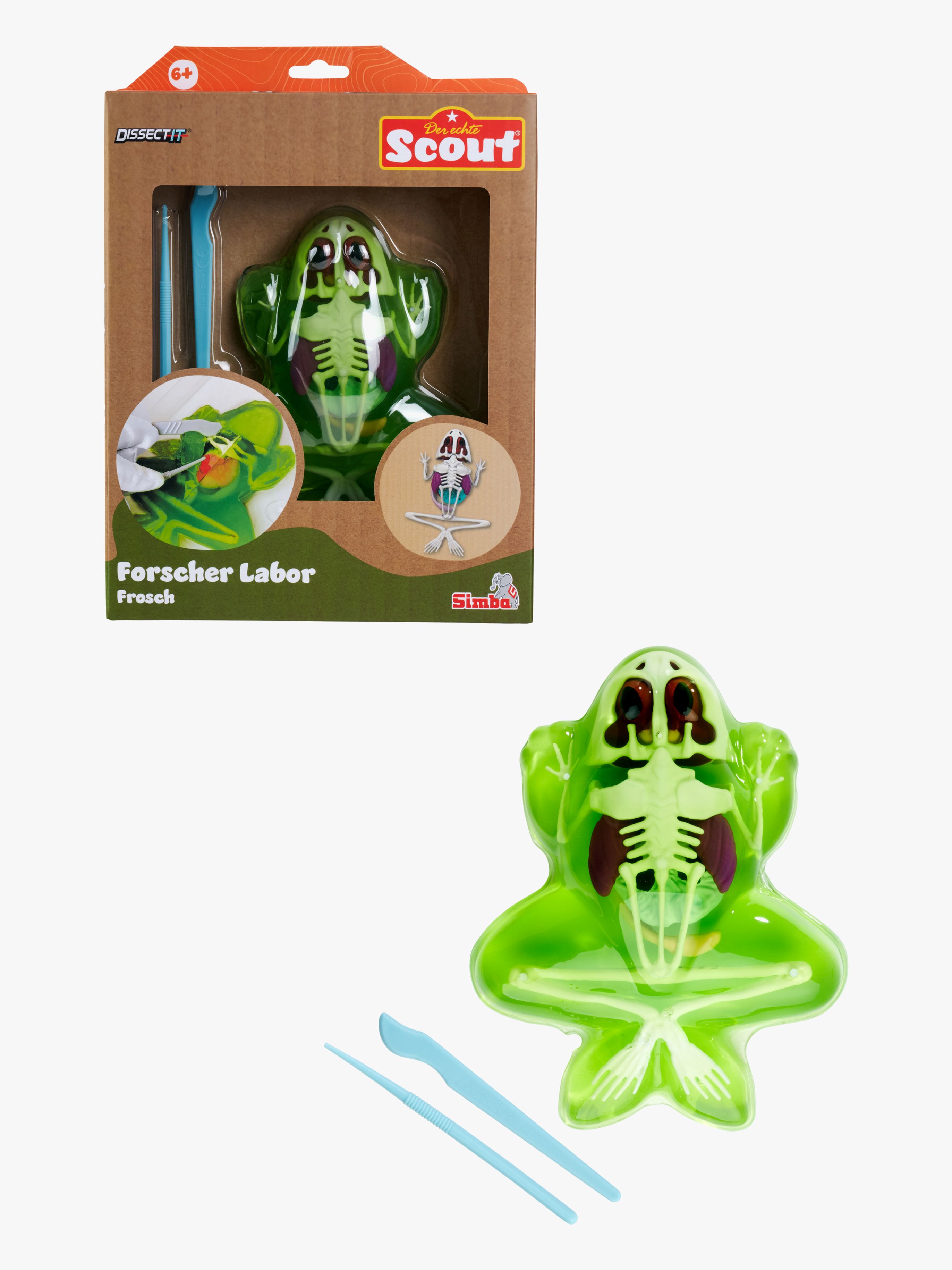 Simba Toys Sezier-Set Frosch