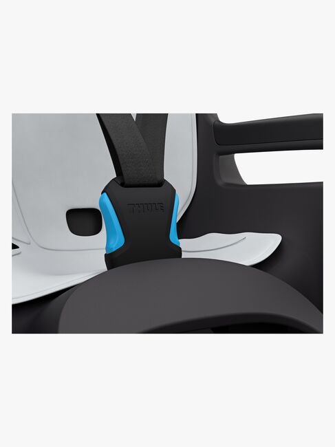 Thule Ride Along 2 Rack Mount Fahrradsitz, Dark Gray