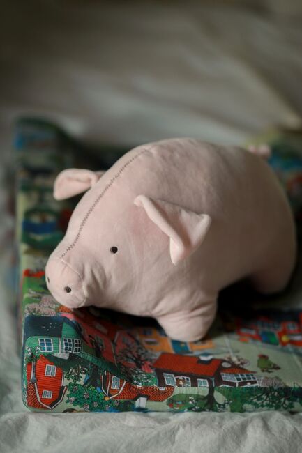 Lotta aus der Krachmacherstraße Teddy Plüschspielzeug Schwein, Rosa