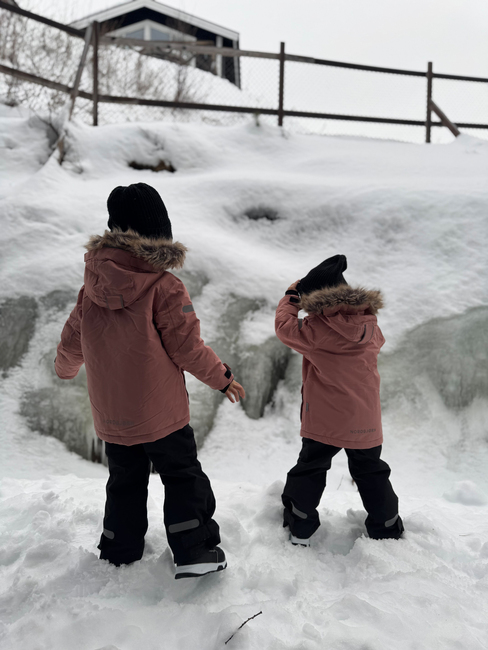 Nordbjörn Avalanche Winterjacke, Ash Rose