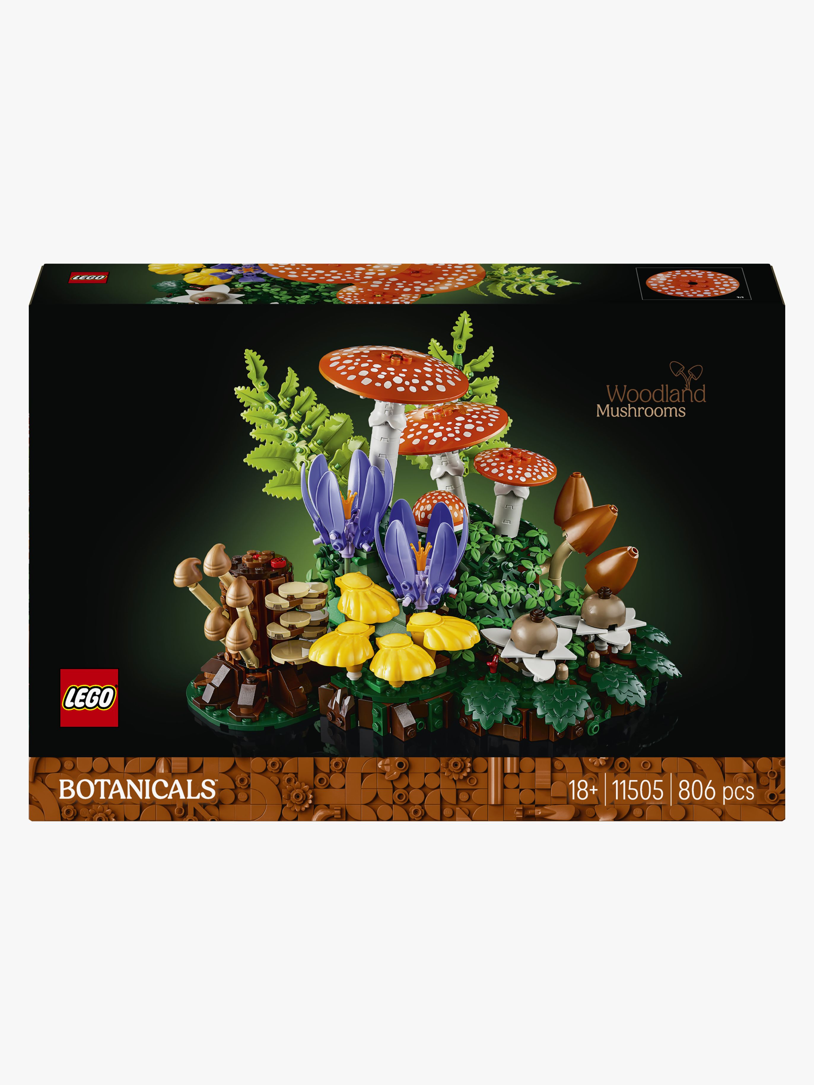 Botanicals 11505 Waldpilze