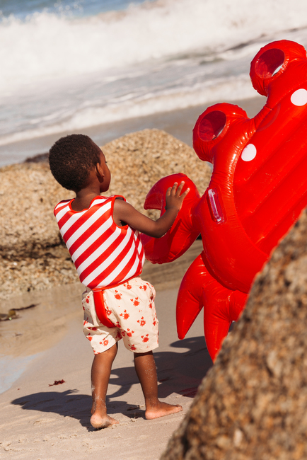 2024SE1048-Crab-4663_4c.jpg