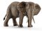 Schleich 14761 Afrikanische Elefantenkuh