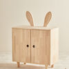 SHIDA-22003-Rabbit-2675_3a.jpg