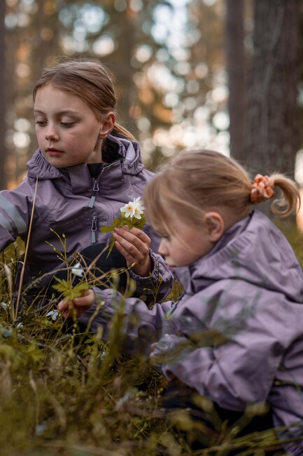 Lindberg Lingbo Outdoorjacke, Lavender