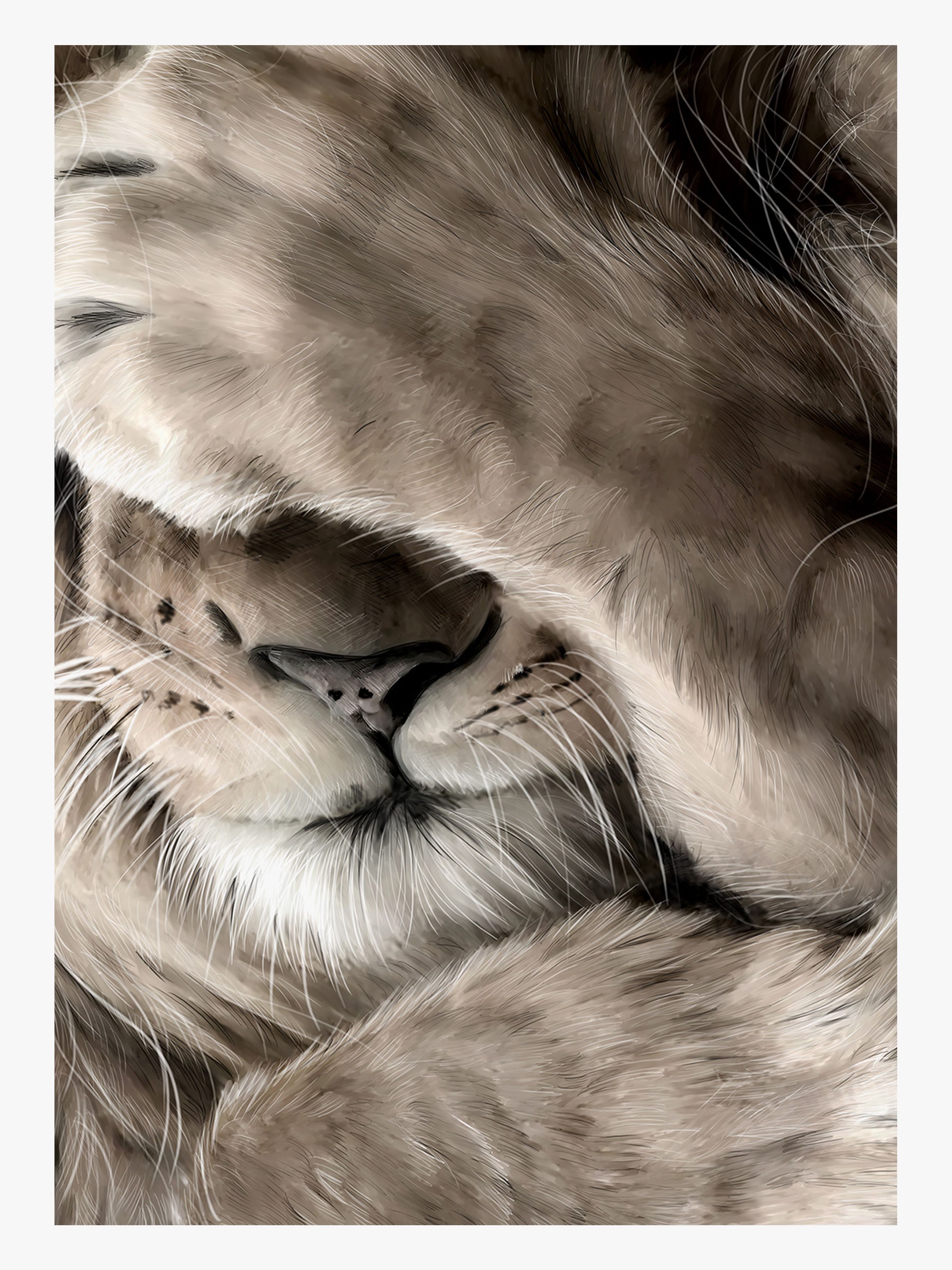 Poster 50x70 Leo