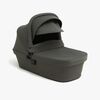 BM-PROTWISTCOT-MOCHAGREY-1895_1.jpg