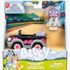 bluey90330-1-2653_3a.jpg