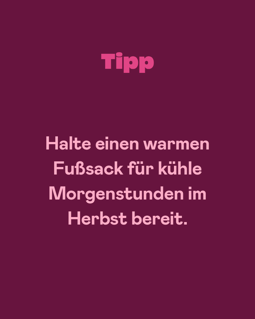Höst_Tips_Åkpåse-DEAT.jpg