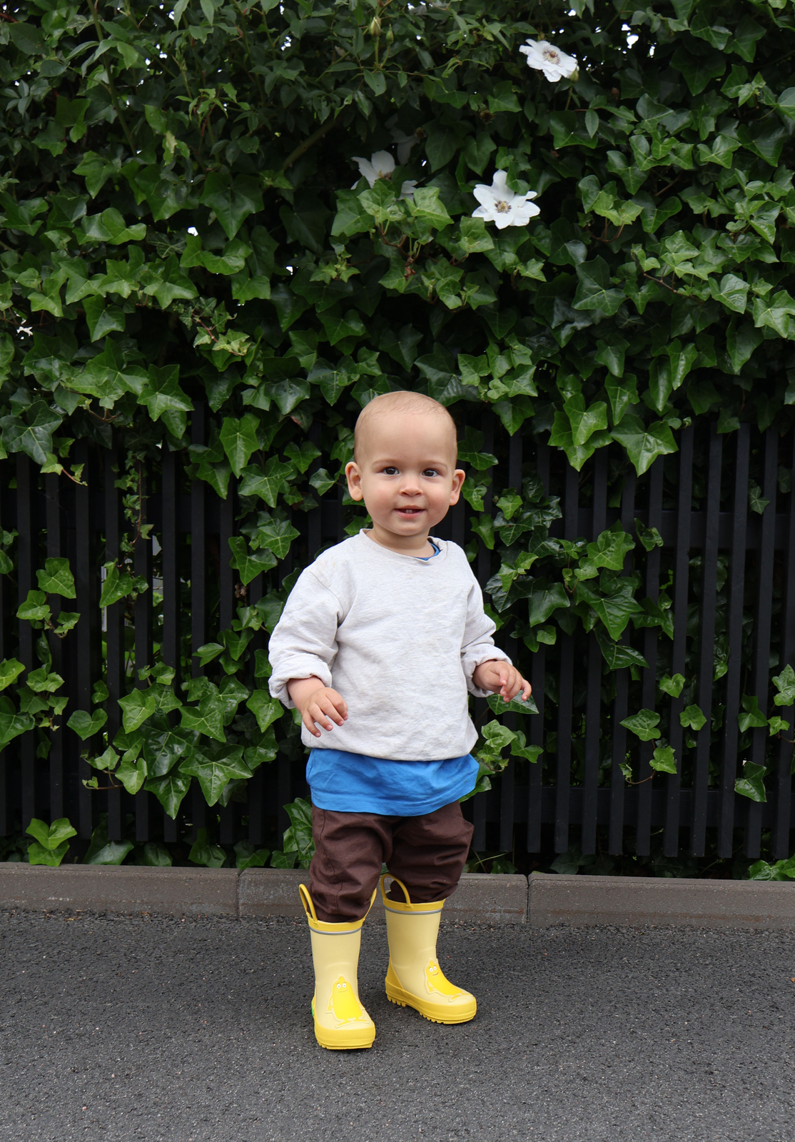 BA250102-Yellow-1124_4a.jpg