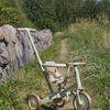 AF-TR008-BLOOMGREEN-1895_2.jpg