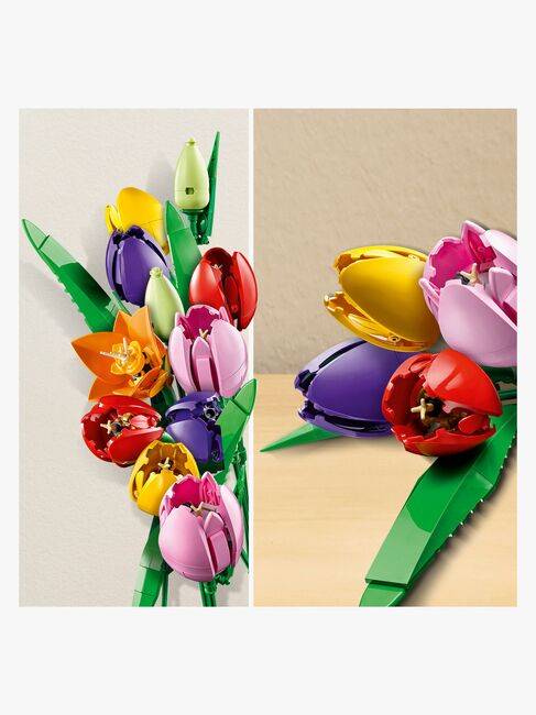 LEGO Botanicals 11501 Tulpenstrauß
