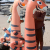 S61KINTC-TinotheTiger-4623_5b.jpg