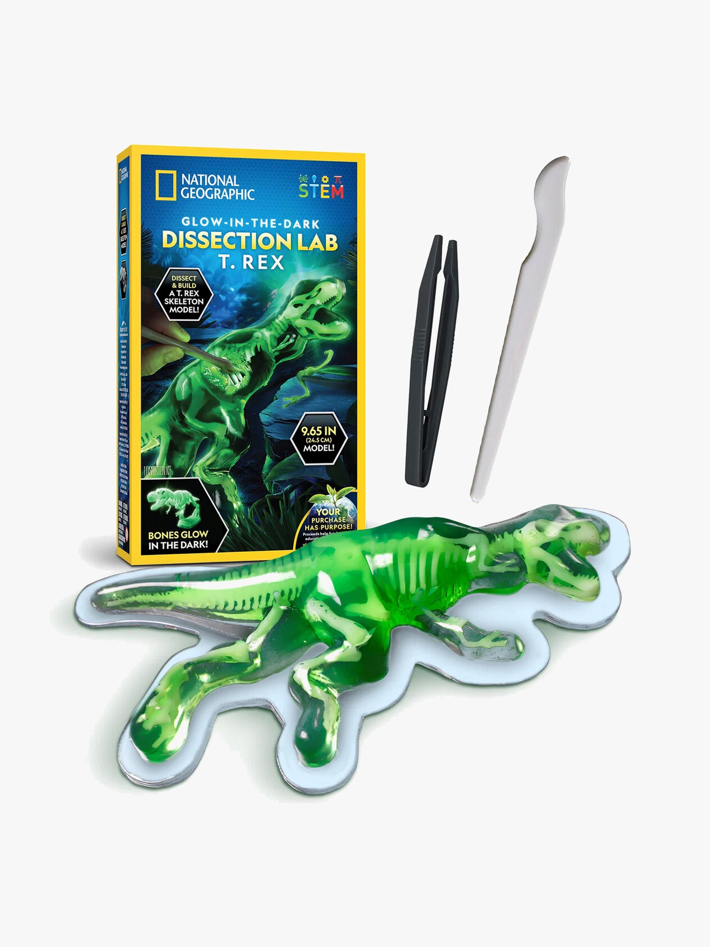 National Geographic Sezier-Labor T. Rex