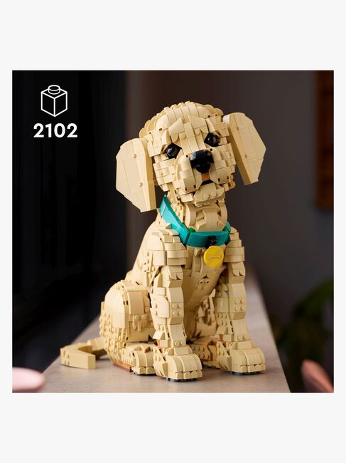LEGO Icons 11384 Golden Retriever Welpe