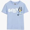 2900002629-BLUEY-4656_1.jpg