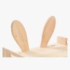 SHIDA22004-Rabbit-2675_3b.jpg
