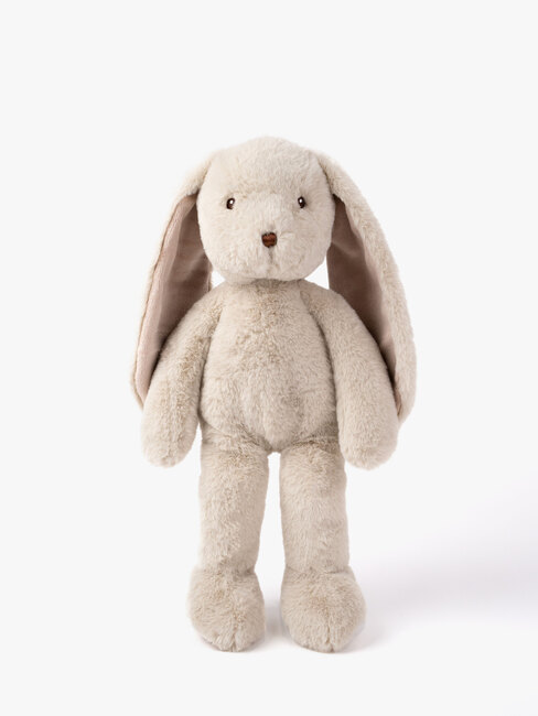 Rabbit45-4365-1115_1.jpg