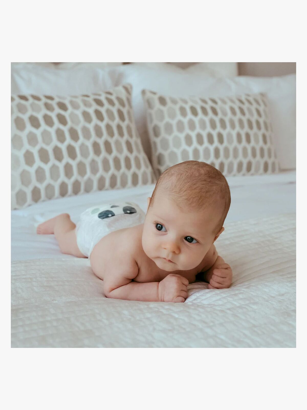 KKS2NAPPIESRL-1228_4b.jpg