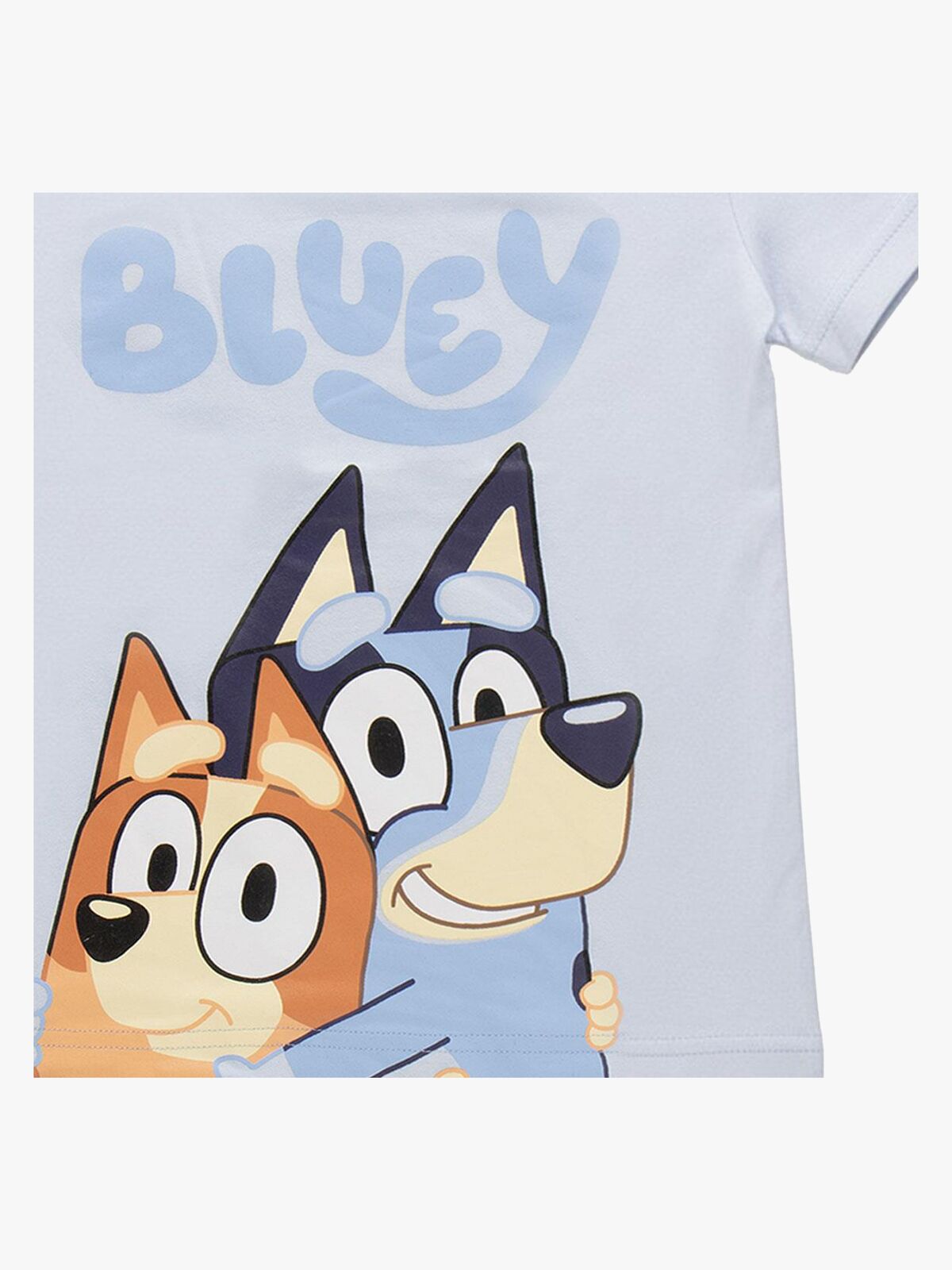 2900003153-BLUEY-4656_4b.jpg