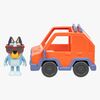bluey90330-3-2653_3c.jpg