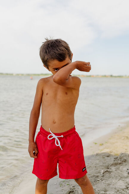 Ebbe Haspen Badehose, Blue Anchors